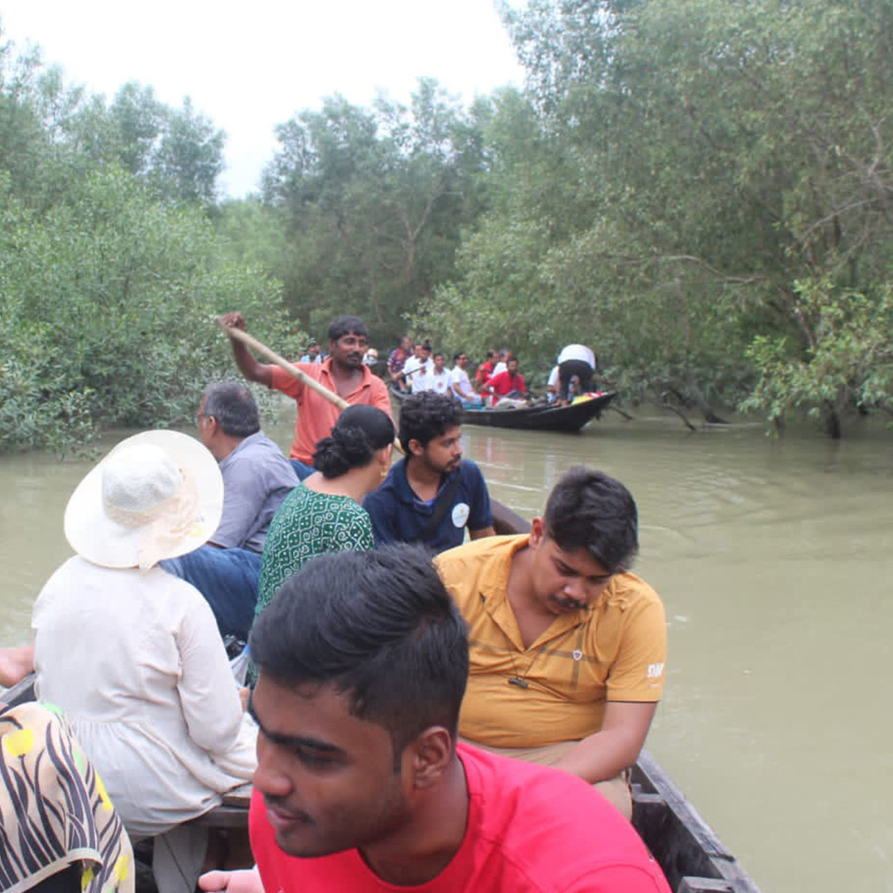 sundarban-tiger-safari