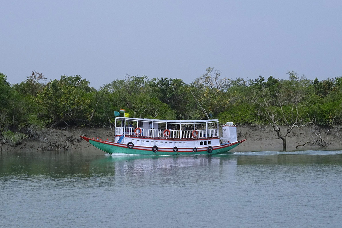 sundarban-tiger-safari
