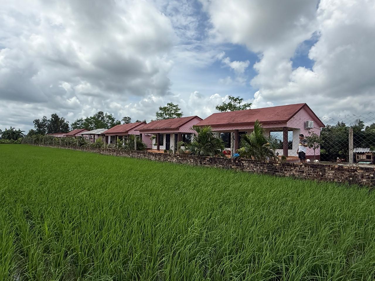 sundarban-tiger-safari